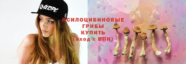 крисы Абинск